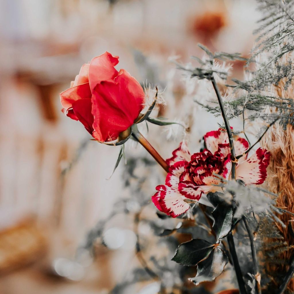 square_510961842_1588059065462618_799777611620757063_n